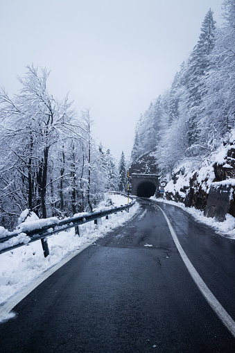 Carretera en temporada de invierno photo