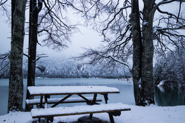 istock Lake in Winter season 901367620