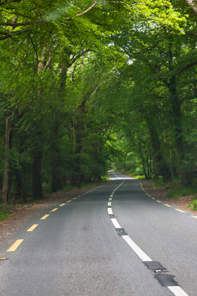 istock Road in Rural Ireland 901370662