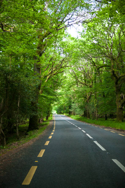 istock Road in Rural Ireland 901370666