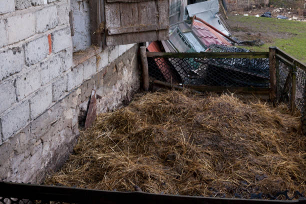 istock Cow manure on pile on farmland 901371004