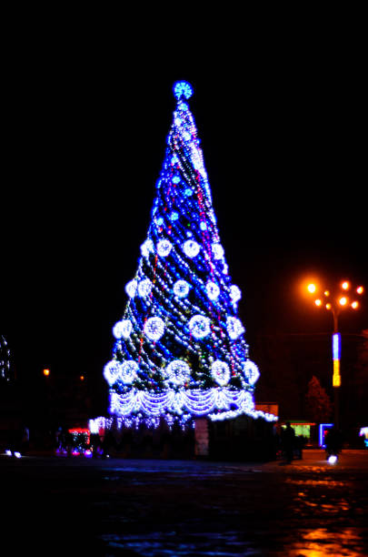 istock Blurred silhouette of the Christmas tree 901374618