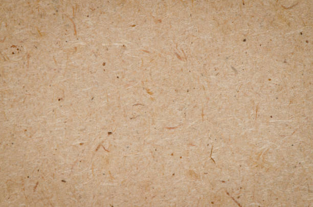 istock Texture of a wooden wall 901382520