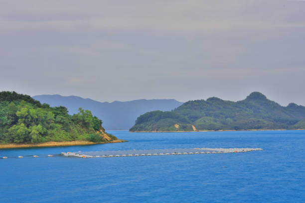 istock Solar panels on water Plover Cove Reservoir 901386132