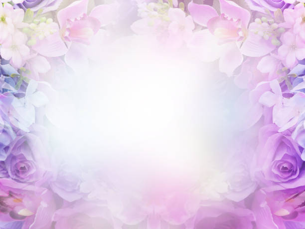 Floral abstract pastel background with copy space. Floral abstract pastel background with copy space. Pink and violet flowers in soft style for wedding or valentine's day card. purple flower stock pictures, royalty-free photos & images