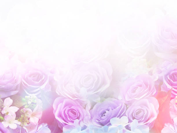 istock Floral abstract pastel background with copy space. 901386552