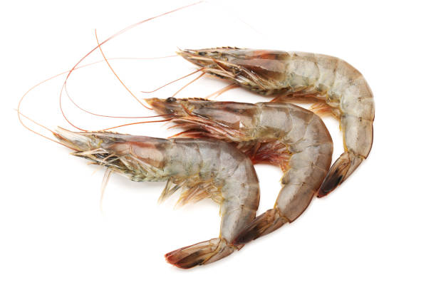 istock Fresh vannamei shrimp on white background 901389500