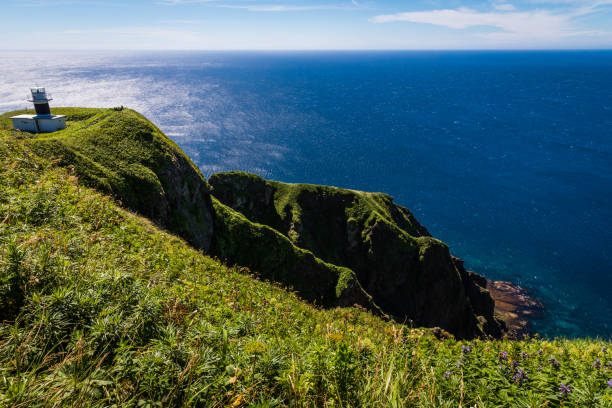 istock Motochi Lighthouse, Rebun Island, Japan 901390052
