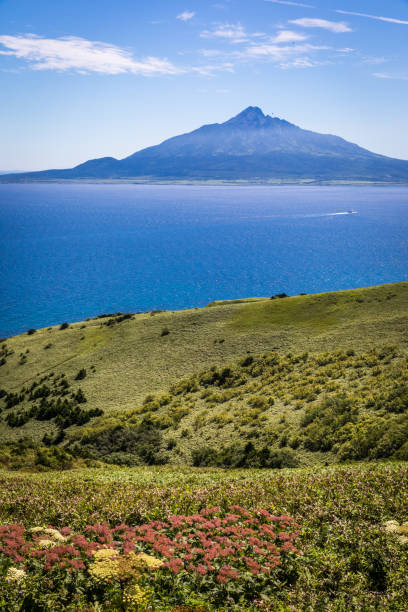 istock Mt. Rishiri Viewed from Rebun Island, Japan 901390512