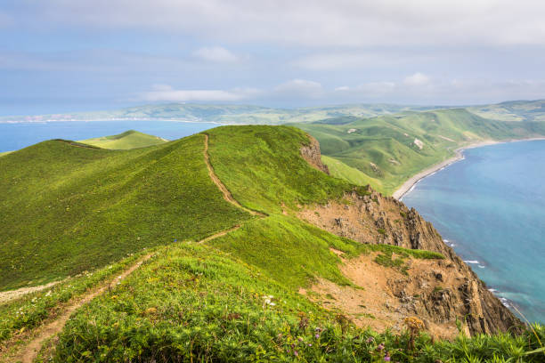 istock Rebun Island Cape Tour Course: Tefunefu 901393270