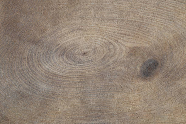 Brown wood texture for the design nature surface background.