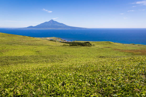 istock Southern Rebun Island and Mt. Rishiri 901393724