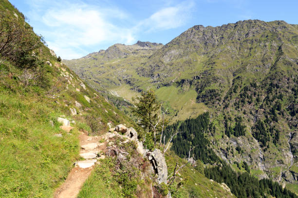 istock Hiking path and mountain alps panorama in the Texel Group, South Tyrol 901413542