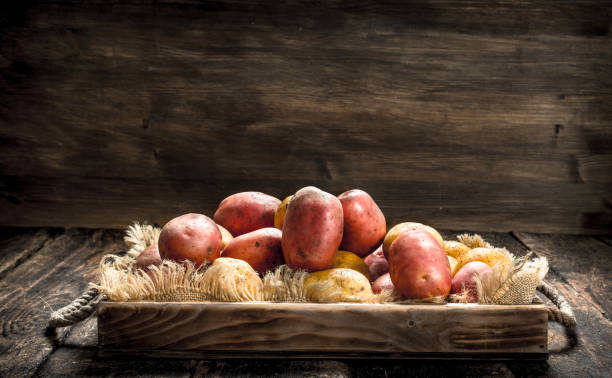 istock Fresh potatoes in an old tray. 901433064