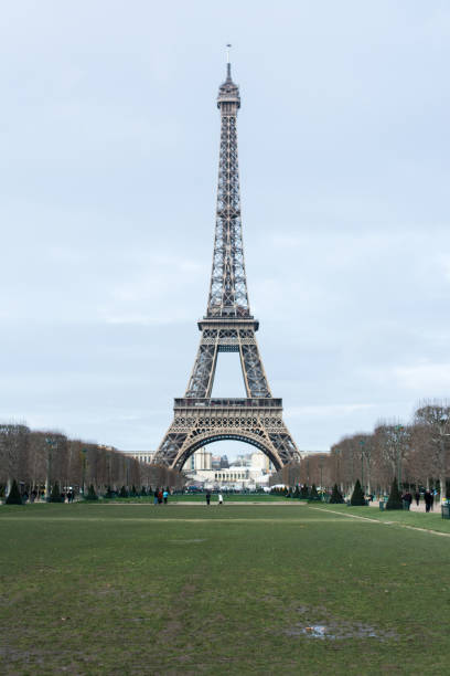 istock Eiffel Tower, Landmark in Paris, France 901433244