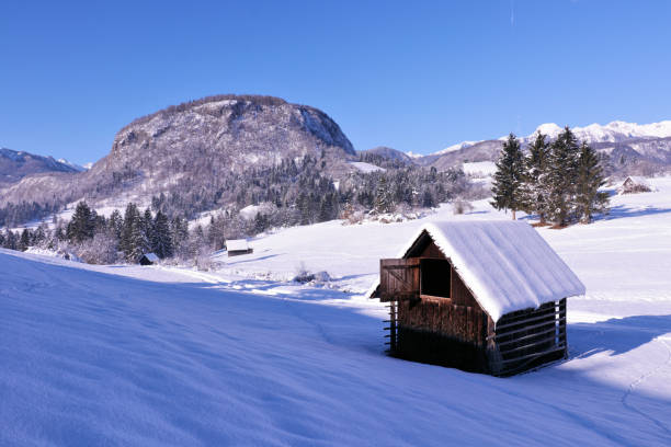 istock small barns with hill behind in winter time 901446030