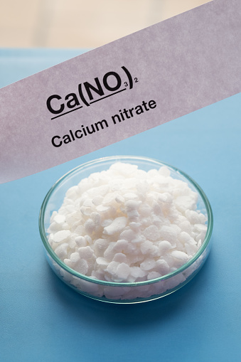 Calcium nitrate in Petri dish and chemical formula