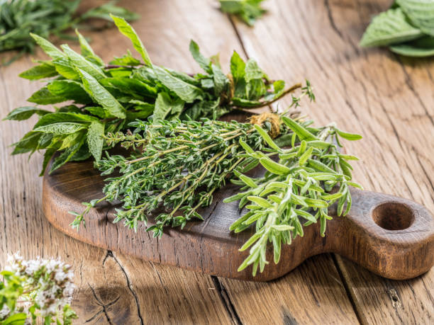 istock Different bunches of fresh herbs on the wooden table. 901457122