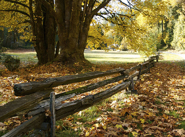 istock Old Split Rail Country Fence 90146016