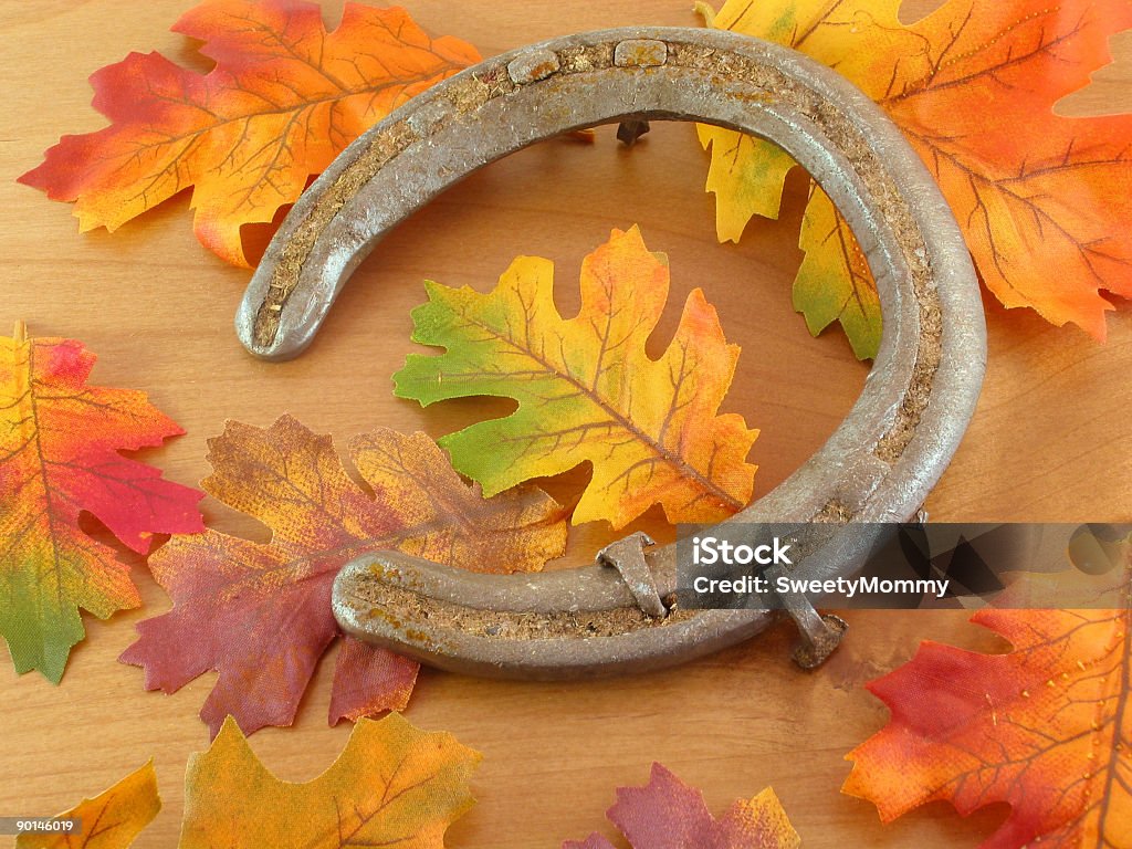 Autumn Horseshoe An old horseshoe with autumn leaves. Autumn Stock Photo