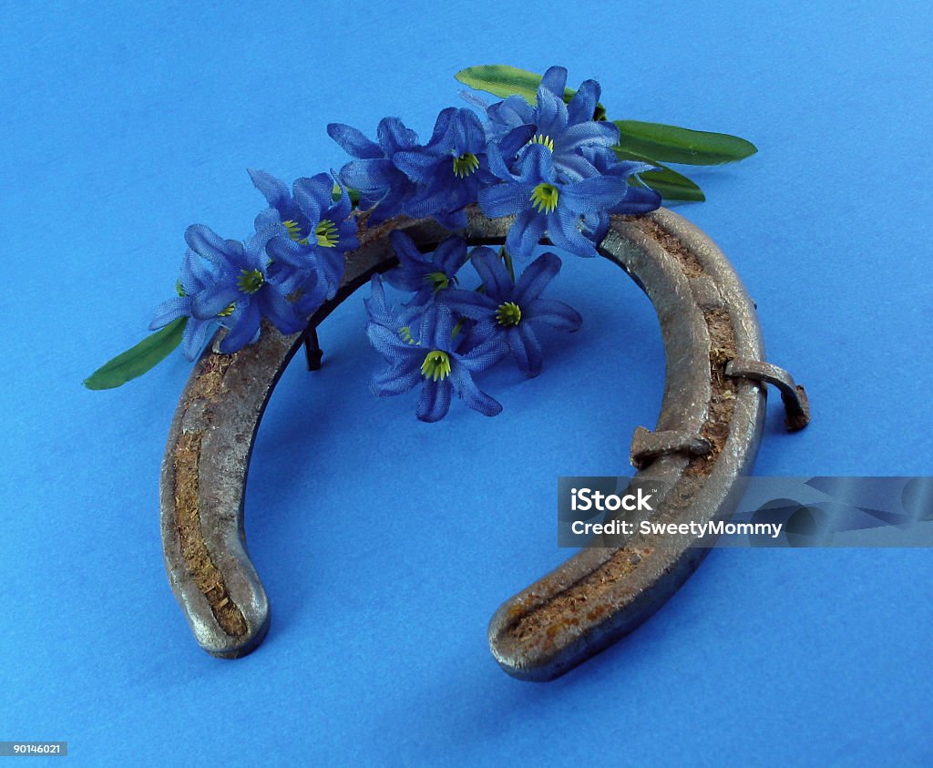 Horseshoe An old horseshoe with dainty blue flowers, on a blue background. Blossom Stock Photo