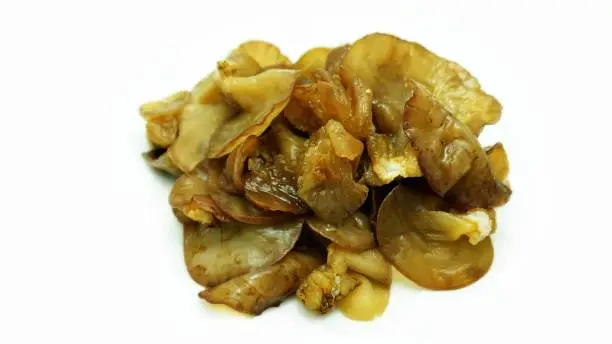 Scientific name: Auricularia auricula-judae. Ear mushroom is a kind of food material and herbal vegetable use in asian traditional medicine.
