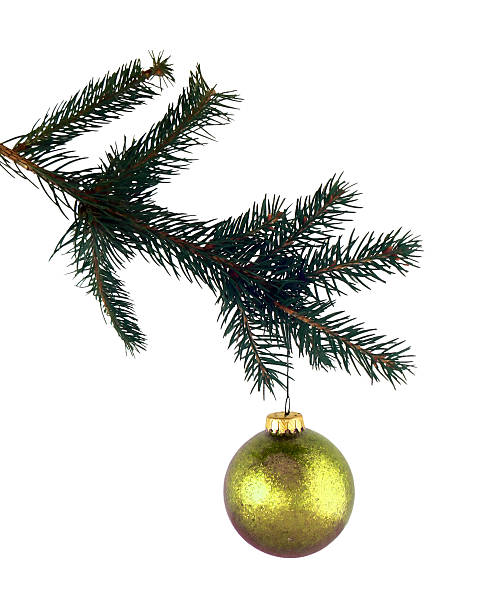 istock isolated pine branch and gold glass 90146272