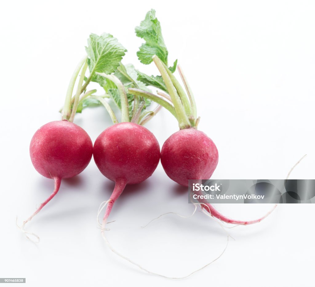 Red salad redish on the white background. Crucifers Stock Photo
