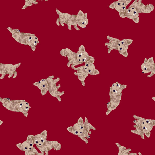 Dog pattern It is the illustration of a pretty dog chihuahua puppies background stock illustrations