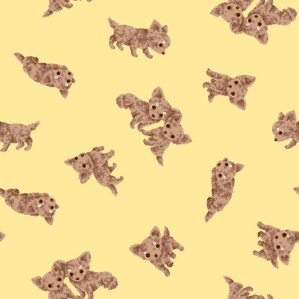 Dog pattern It is the illustration of a pretty dog chihuahua puppies background stock illustrations