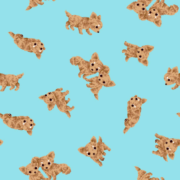 Dog pattern It is the illustration of a pretty dog chihuahua puppies background stock illustrations