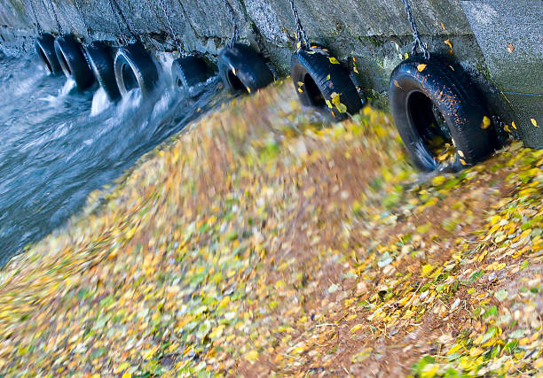 Leaves and tyre fenders. stock photo