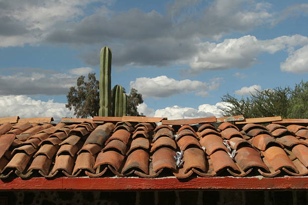 istock Roof and cactus 90147240