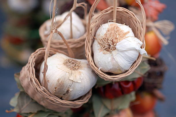 Traditional way of drying and garlic preparation.