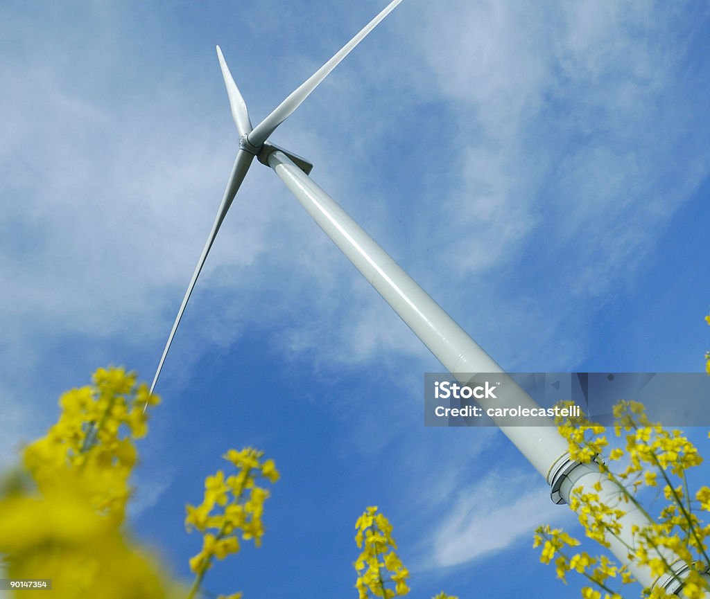 windturbine no campo de colza - Royalty-free Agricultura Foto de stock