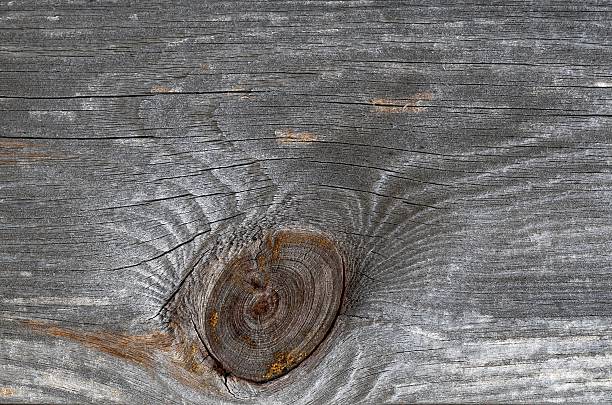Macro Knot in the plank stock photo