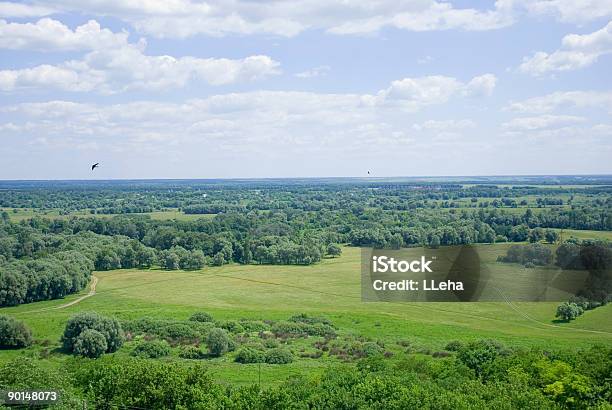 Ländliche 1 Stockfoto und mehr Bilder von Alm - Alm, Baum, Blau