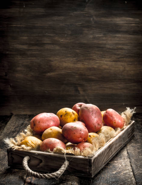 istock Fresh potatoes in an old tray. 901481502