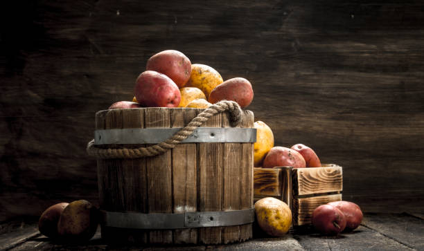 istock Fresh potatoes in a wooden bucket. 901481594