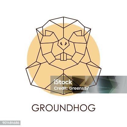 istock Geometric abstract groundhog head. Wild animal. Vector illustration. 901484686