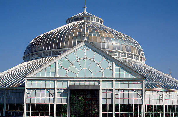 istock Winter Garden, Glasgow Green 90149211