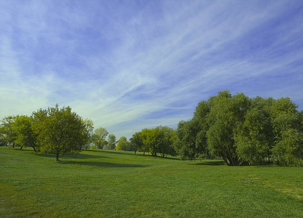 Green field and blue sky stock photo