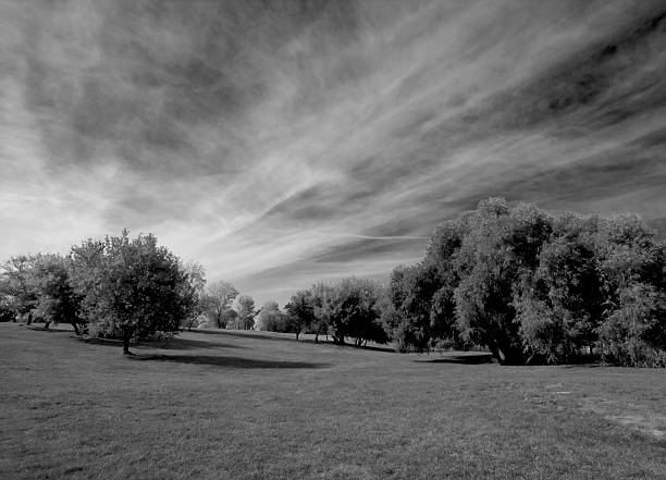 Dramatic field and sky stock photo