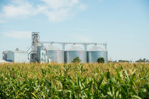 istock Agricultural elevator or granary on the field 901492818