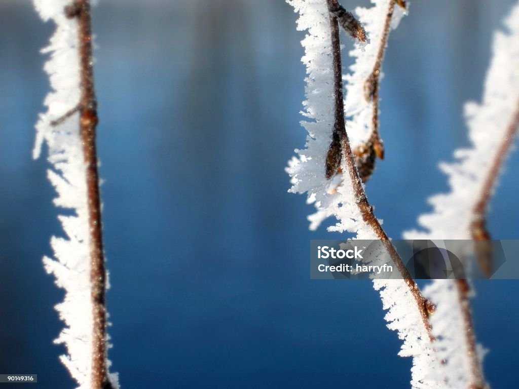 Frescura de invierno - Foto de stock de Agua libre de derechos