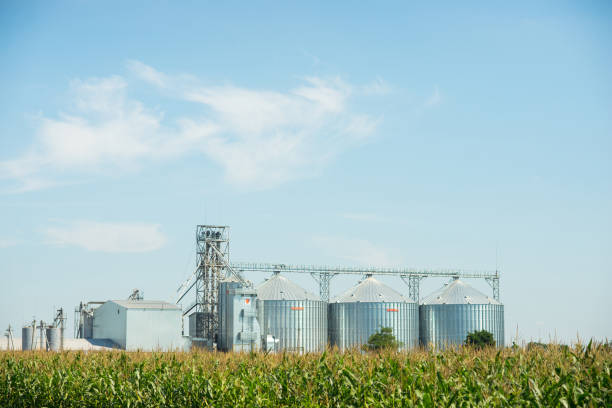 istock Agricultural elevator or granary on the field 901493494