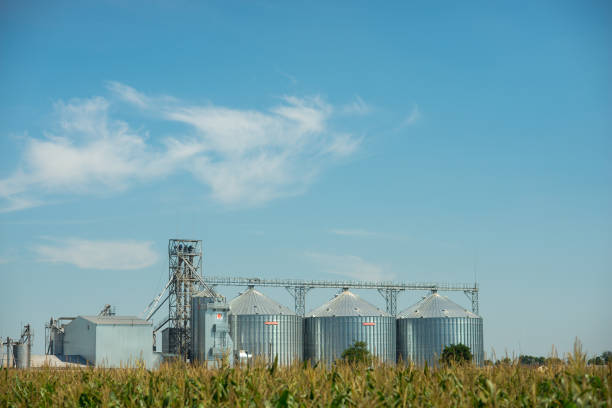 istock Agricultural elevator or granary on the field 901494232
