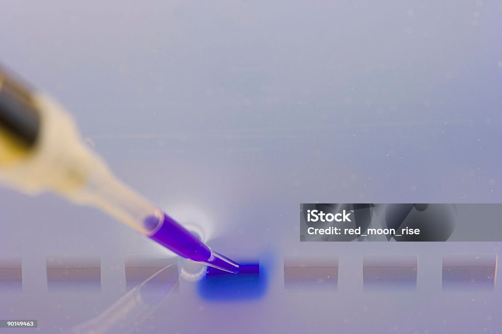 Carregando um DNA agaraose gel - Foto de stock de RNA royalty-free