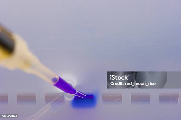 Carregar Um Gel Agaraose De Adn - Fotografias de stock e mais imagens de Ácido ribonucleico - Ácido ribonucleico, Sequenciação, ADN
