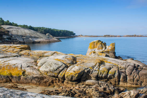 istock Rocks on the coast of Arousa island 901496842